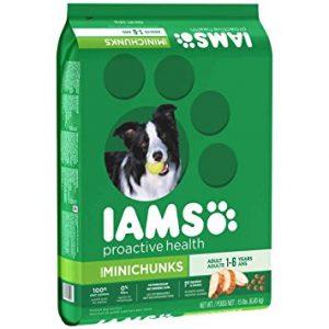 IAMS PROACTIVE HEALTH Adult MiniChunks Dry Dog Food