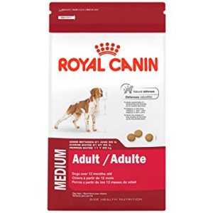 Royal Canin Size Health Nutrition