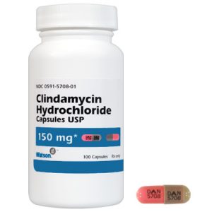 clindamycin dosage for dogs skin infection