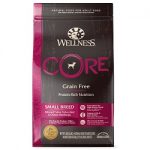 Wellness CORE