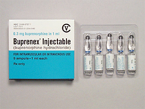 Buprenorphine for Cats