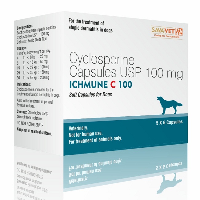 Cyclosporine (Atopica) for Dogs, Uses, Dosage, Side Effects
