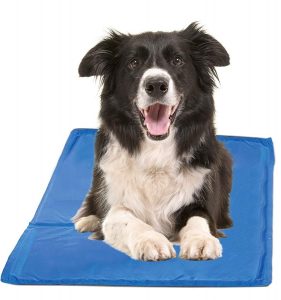 Chillz Cooling Mat For Dogs