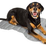 Coleman Pressure Activated Comfort Cooling Gel Pet Pad Mat