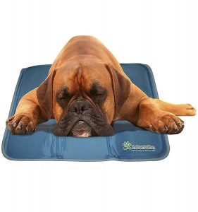 The Green Pet Shop Dog Cooling Mat