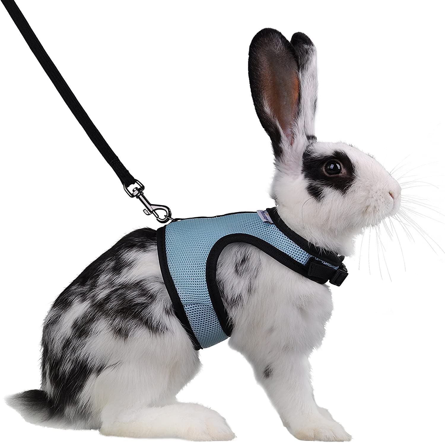 Black Adjustable Vest Long Leash Set with Safety Bell Soft Paded Breathable Mesh Harness for Cat Kitten Bunny Puppy Guinea Pig Small Pets Walking VavoPaw Rabbit Harness Vest XS Size 