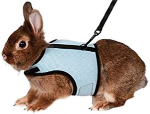 Trixie Pet Products Soft Harness with Leash-Nylon